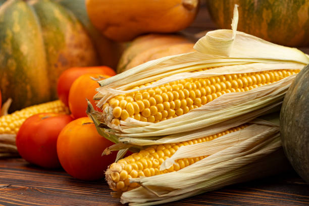 Pumpkin, corn and tomatoes on brown wooden background close up