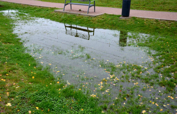 too,  compact, impermeable, soil, absorb,  water, rain,   floods, flood,  lake, pond, temporary, park, lawn,  infiltrates, infiltration, heavy,  damage, grass, garden, bench, metal, pole, electricity, flood,  water, push, air, out, soil,  rotting, roots, sidewalk, gravel, dirt, road, mirroring,