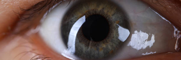 istock Male grey green colored right eye 1282259444