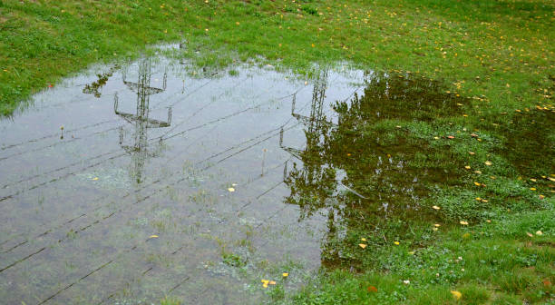слишком компактная и непроницаемая почва не поглощает воду во время дождей и наводнений. в парке на лужайке было создано озеро, которое пос� - electrical fault стоковые фото и изображения