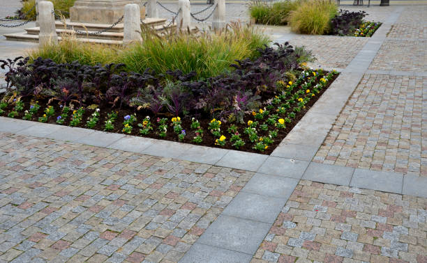 istock planting perennial flowers 1282260661
