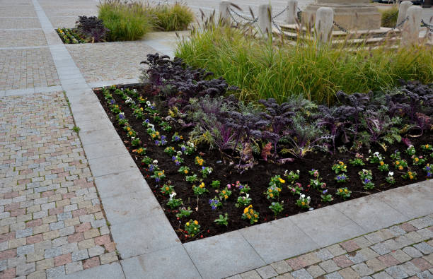 istock planting perennial flowers 1282260699