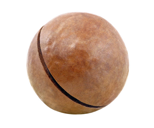 istock Macadamia nut one whole sawn isolated on a white background with clipping path. Full depth of field. 1282260715