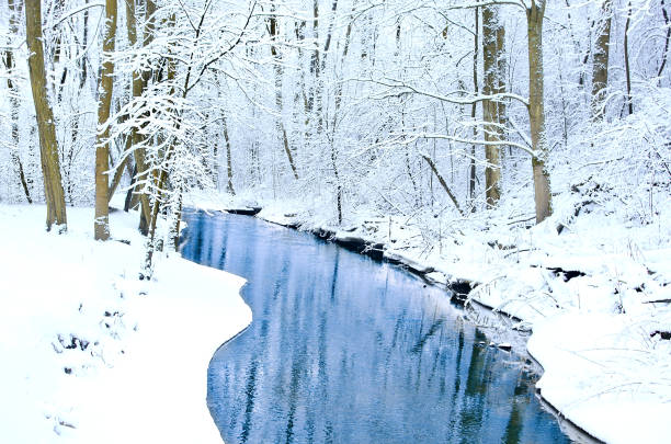 istock Winter river landscape with snow covered trees. River on the forest. 1282260726