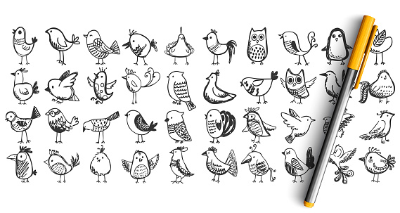 Birds doodle set
