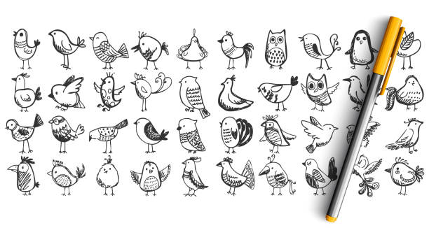 Birds doodle set Birds doodle set. Collection pencil pen ink hand drawn sketches templates patterns of flying animals nightingale owl tree sparrow pigeon isolated in line. Zoology ornitology forest fauna illustration. owl doodle stock illustrations