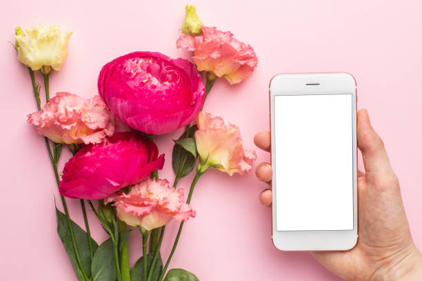istock Mobile phone and Ranunculi pink flower bouquet on pink background with copyspace top view 1282262021