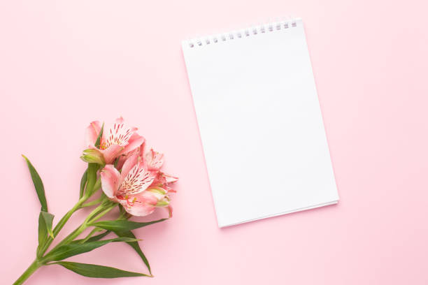 istock Notebook and flower Alstroemeria on a pink background 1282262067