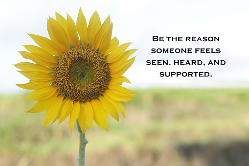 Inspirational quote - Be the reason someone feels seen, heard, and supported. On soft yellow background of sunflower on a field. Kindness words of wisdom concept.