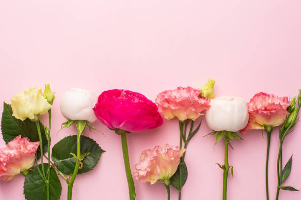istock Pink and white flower bouquet on pink background with copyspace 1282262335