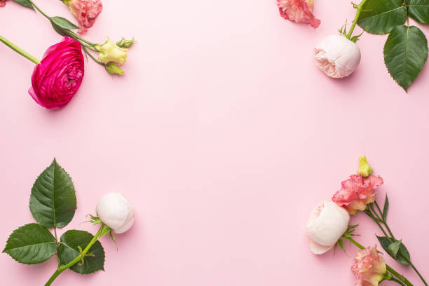 istock Pink and white flower bouquet on pink background with copyspace 1282262346
