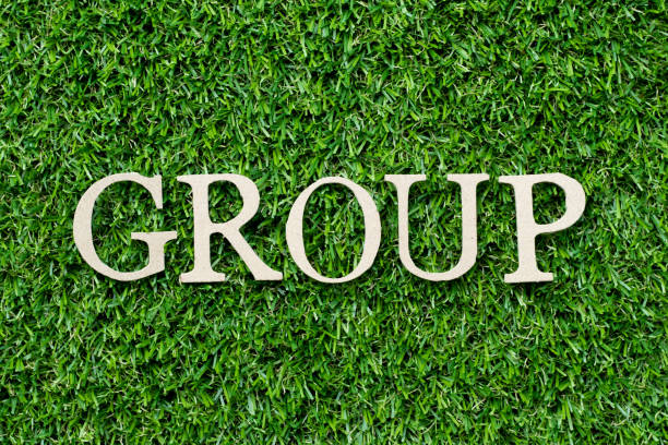 istock Wood alphabet letter in word group on green grass background 1282264756