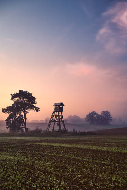 Rural foggy landscape with silhouette of a hunting tower on a field at sunrise. Rural foggy landscape with silhouette of a hunting tower on a field at sunrise. hiding place stock pictures, royalty-free photos & images