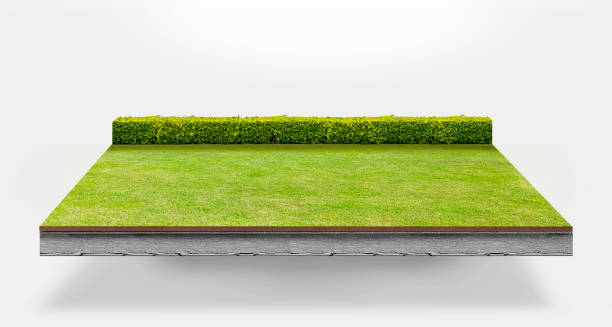 istock Cross section image of grass yard, brown soil and and concrete. 1282273044