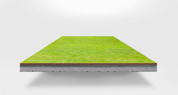 Cross section image of green grass, brown soil and and concrete.