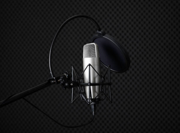 istock Professional-grade condenser studio microphone in the recording room There is a background soundproof panel. 1282273899