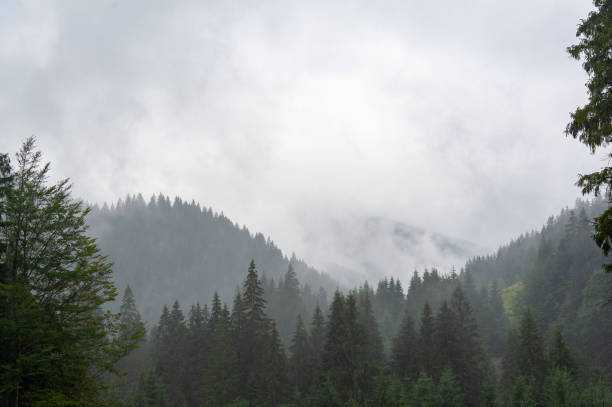 istock Fog in morning on the mountains. 1282274220