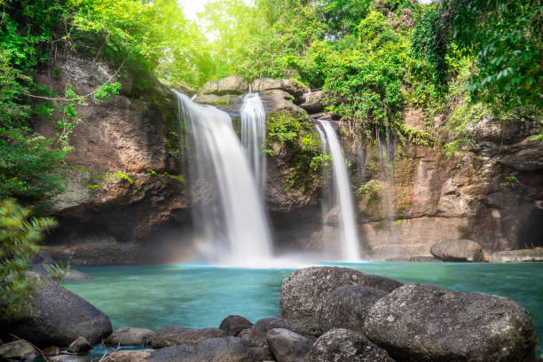 travel to the beautiful waterfall in deep forest, soft water of the stream in the natural park at haew suwat waterfall at khao yai national park, thailand - thailand heaven tropical rainforest forest imagens e fotografias de stock