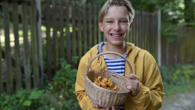 Little boy holding a basket of freshly picked chanterelles