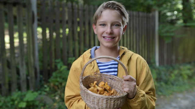 Little boy holding a basket of freshly picked chanterelles