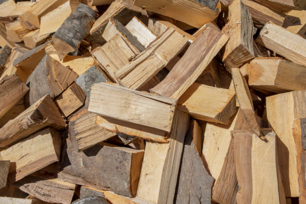 istock Firewood logs on the ground 1282280735