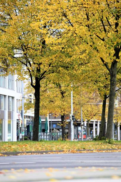istock autumn in the park 1282281816
