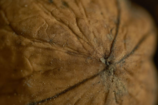 Walnuts on an old wooden table as detailed close-up shot (selective focus)