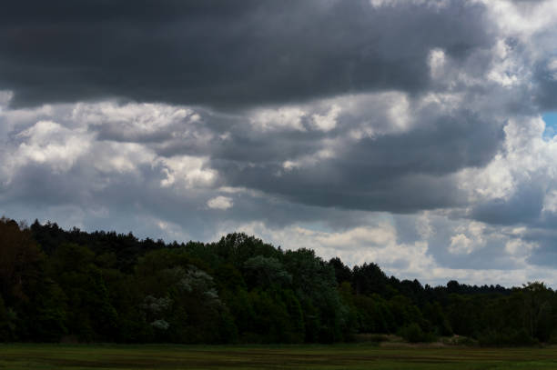 istock Dark clouds gathering over the edge of a forest 1282283768
