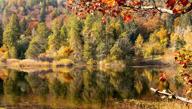 istock Alpine Lake in autumn 1282284540