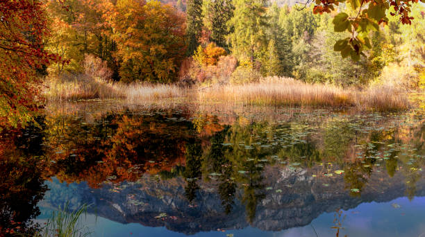 秋のアルパイン湖 ストックフォト