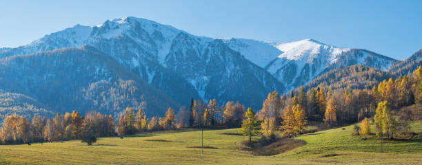 istock Panoramic autumn view, sunny day. Meadow, forests, snow-capped peaks. 1282285671