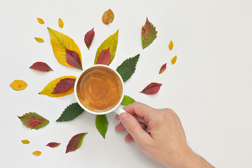 Conceptual Espresso Coffee Cup with Autumn Leaves and Hand