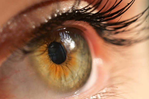 istock Details of Human Eye Macro View with Natural Light 1282285724