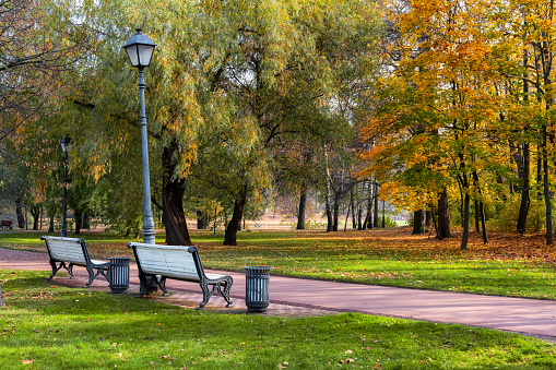 Beautiful romantic alley with benches in autumn park with colorful trees and soft sunlight. Autumn natural background.