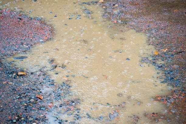 istock Puddle in the rain, country roads 1282287626