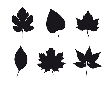 autumn leaves icons