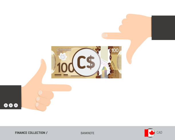 ilustraciones, imágenes clip art, dibujos animados e iconos de stock de billete de 100 dólares canadienses. manos de negocio que miden el billete. ilustración vectorial de estilo plano. concepto de financiación empresarial. - canadian currency