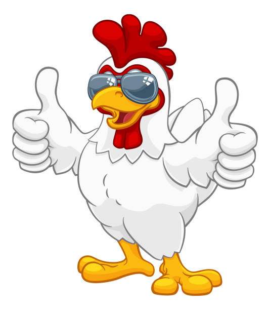 Chicken Rooster Cockerel Bird Sunglasses Cartoon A chicken rooster cockerel bird cartoon character in cool shades or sunglasses giving a double thumbs up chicken thumbs up design stock illustrations