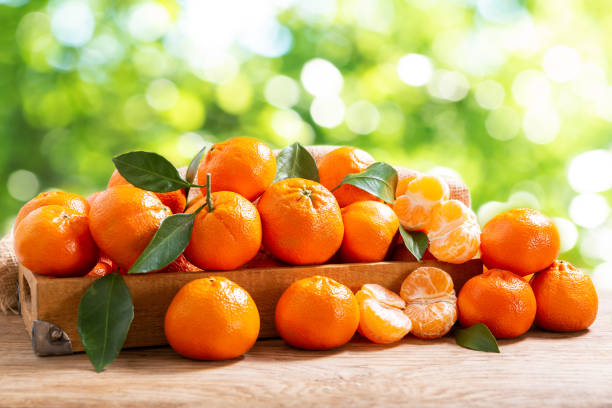 istock Fresh mandarin oranges fruit or tangerines with leaves over green blurred background 1282291101