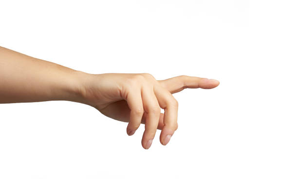 istock female hand with raised forefinger isolated on white background 1282293047