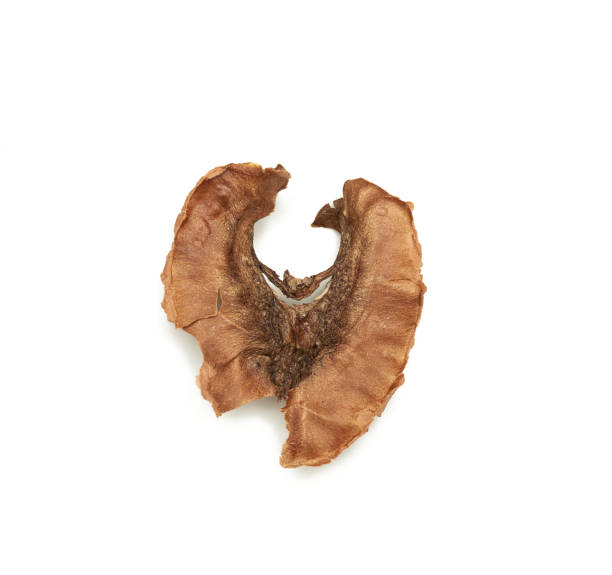 istock inner baffle of walnut isolated on white background 1282293079