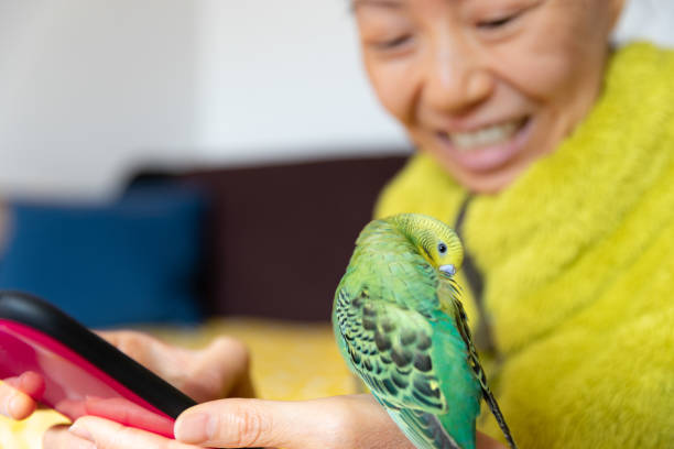 istock Life with a pet bird 1282294158