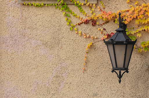 Wall lantern and virginia creeper on the street in autumn season