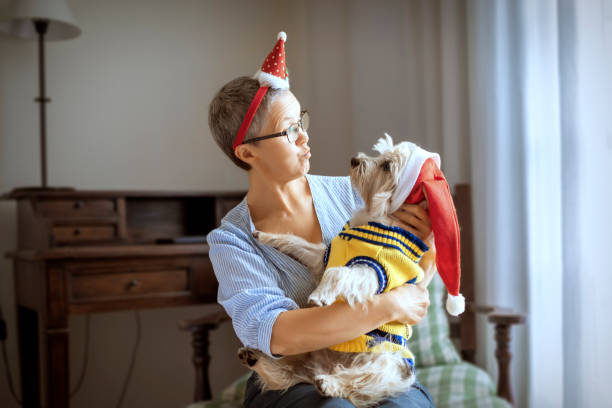 Waiting for Christmas Smiling mature woman at home, wears christmas mask with her dog cairn terrier stock pictures, royalty-free photos & images