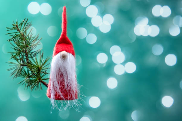 Christmas gnome and spruce branch on a green background