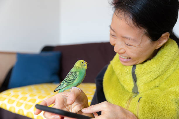 istock Life with a pet bird 1282294602