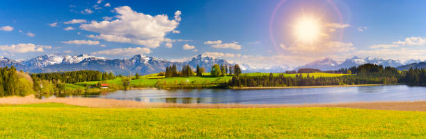 beautiful panoramic landscape in Bavaria, Germany beautiful panoramic landscape in region Allgaeu, Bavaria, Germany with sun on sky over alps mountains nearby Forggensee lake in meadows forggensee lake photos stock pictures, royalty-free photos & images