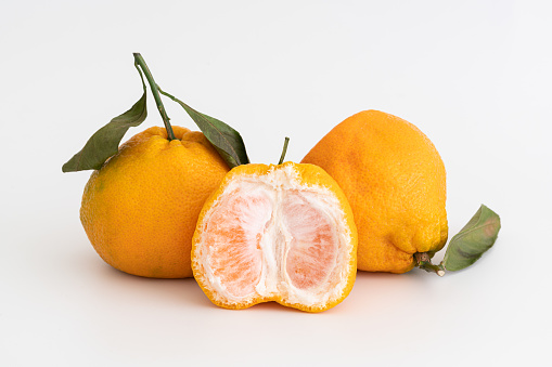 Tangerines on white background with clipping path.