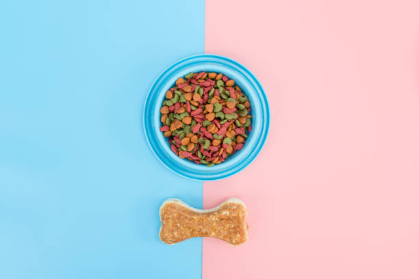 istock Pet food and snack with copy space on color background 1282298508