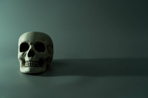 istock Human dead skull head. Halloween party background 1282298795